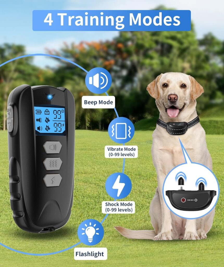 Dog Training Collar