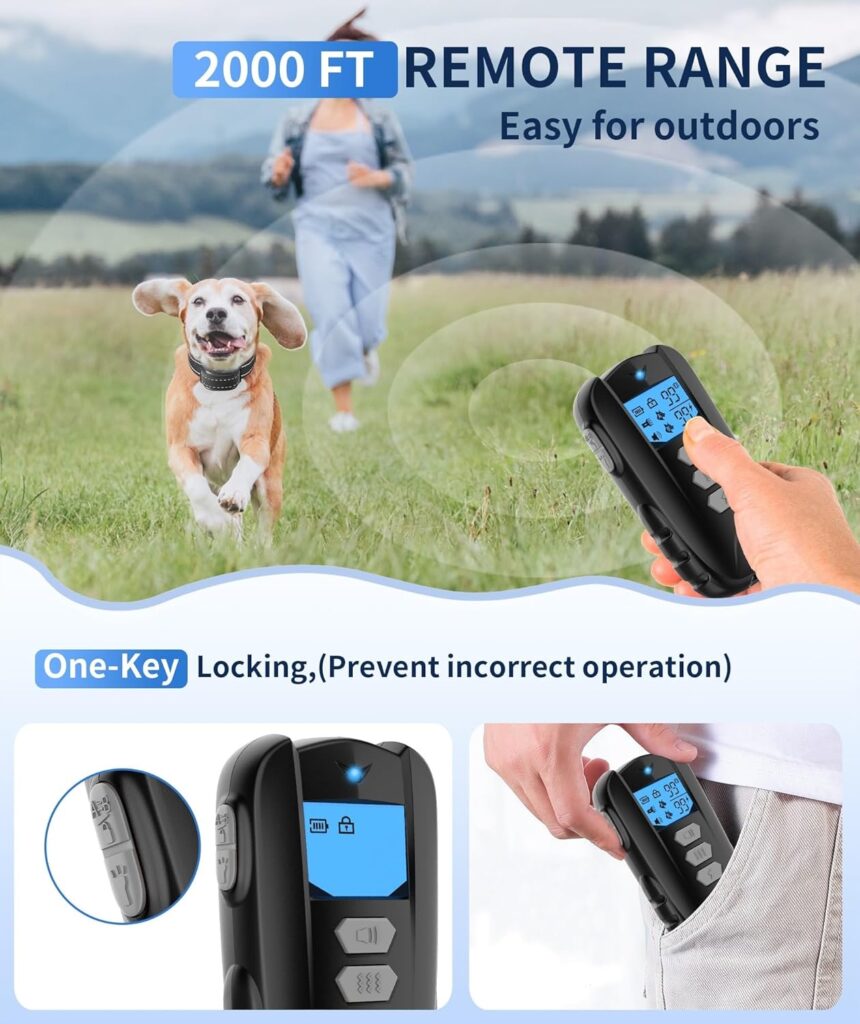 Dog Training Collar